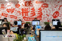 （8分钟科普下）云南省迪庆藏族自治州人民政府_哔哩哔哩-3